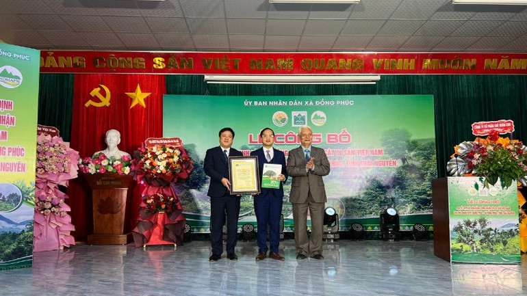 12[-]c&acirc;y[-]Ch&egrave;[-]cổ[-]thụ[-]đầu[-]ti&ecirc;n[-]của[-]tỉnh[-]Th&aacute;i[-]Nguy&ecirc;n[-]được[-]vinh[-]danh[-]C&acirc;y[-]Di[-]sản[-]Việt[-]Nam